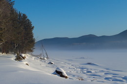 frosty morning / ***