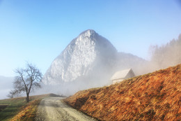 Road / ***