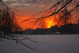 Winter silence / ***