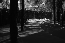 Along the fence ... / ***