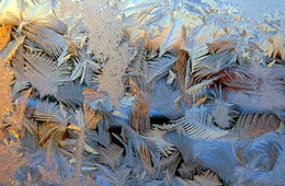 Epiphany frosts / ***