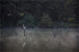 On the lake / ***