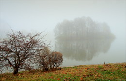 Island in the fog / ***