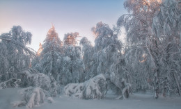 White Silence / ***