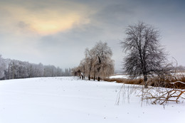 Winter day / ***