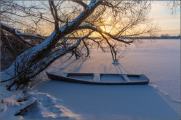 In anticipation of the summer / ***