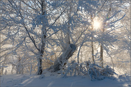 Winter Sun / ***