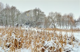 After snowfall / ***