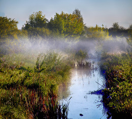 &nbsp; / Pozdniy tuman