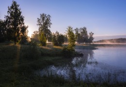 Summer morning. / ***