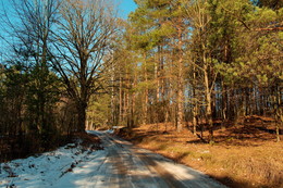Sunny day / ***