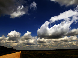 The road to the horizon / ***