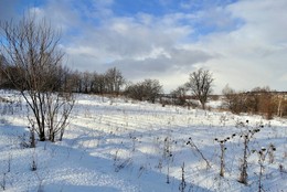 Shadows on the snow / ***