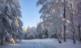 The Winter's Tale / ***