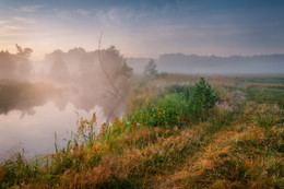 Summer morning / ***