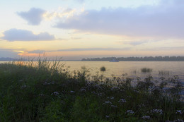 Fog over the river / ***