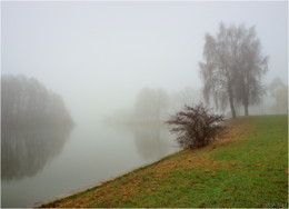 In the mist / ***