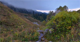 Autumn Elegy / ***