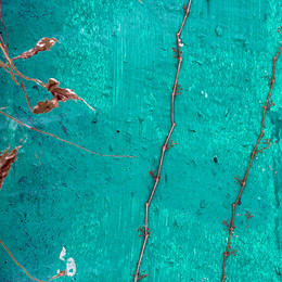 &nbsp; / [img]http://s018.radikal.ru/i517/1701/fd/ce80d3624a02.jpg[/img]

[img]http://s018.radikal.ru/i501/1701/47/56f05428bf86.jpg[/img]