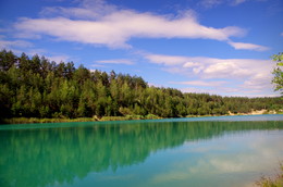 Expanses of forest / ***
