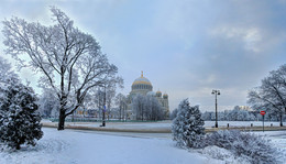 in January / ***