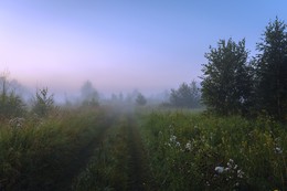 Summer morning. / ***