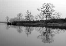 Foggy morning / ***