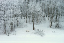 Dead season / ***