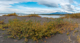 Autumn / ***