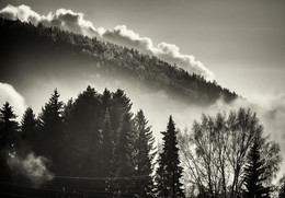 black-and-white morning / ***