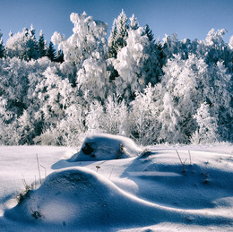white winter / Belaya zima