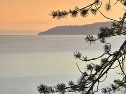 evening on the shore / ***