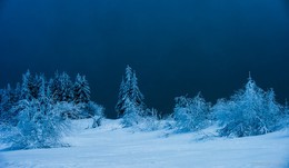 Winter landscape / ***