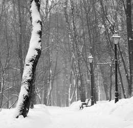 Snowstorm / ***