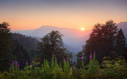 Evening in the Mountains / ***