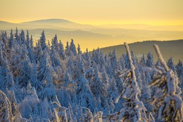 Winter landscape / ***