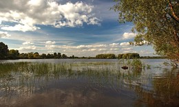 Flooded / ***