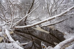 Winter landscape / ***