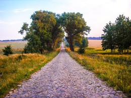 stone road / ...