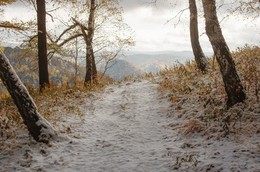 The first snow ... / ***