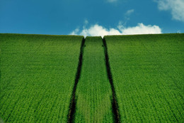 The road to heaven / ***