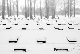 Memory / ***