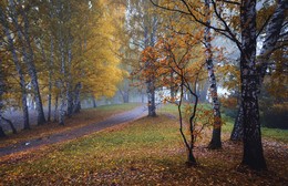 Autumn palette. / ***