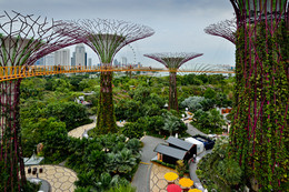 Singapore / ***
