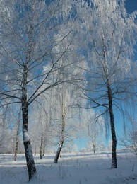 Frost / ***