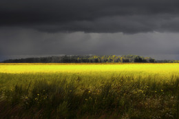 Before the storm / ***