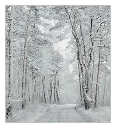 Winter road / ***