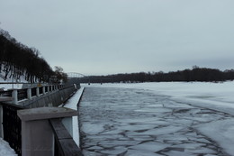 Embankment of river Sozh / ***