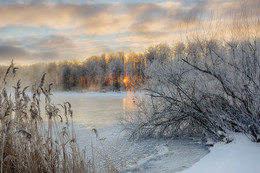 Frosty morning. / ***