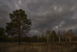 Before the storm / ***